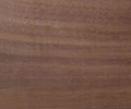 American Walnut